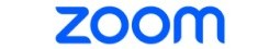 Zoom logo